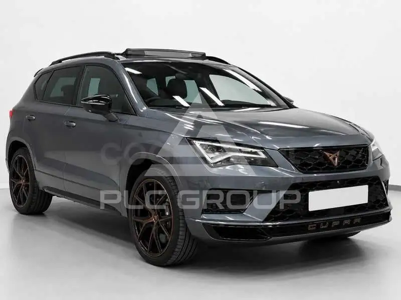 2020 Cupra Other