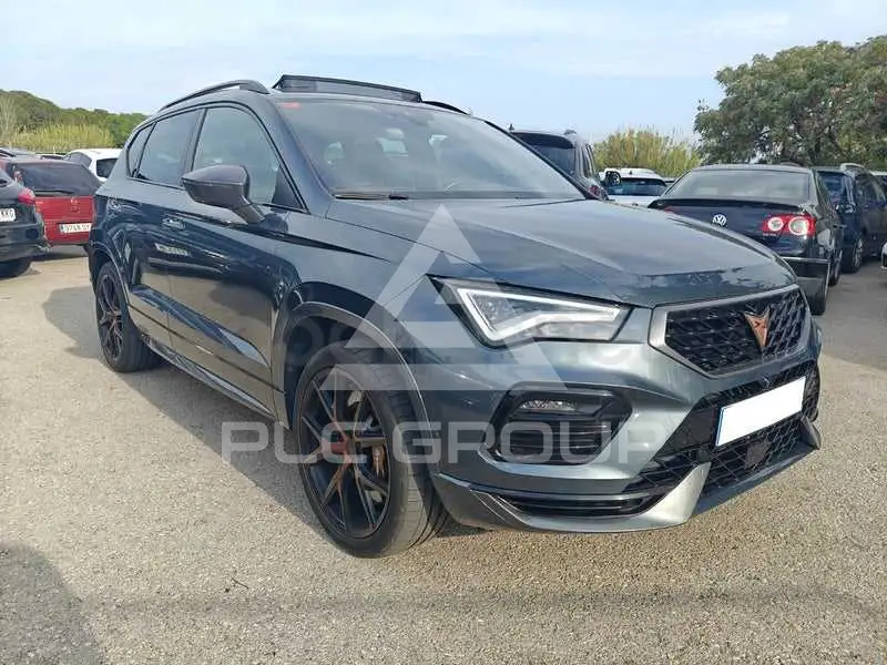 2020 Cupra Other