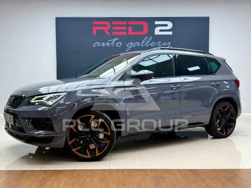 2020 Cupra Other