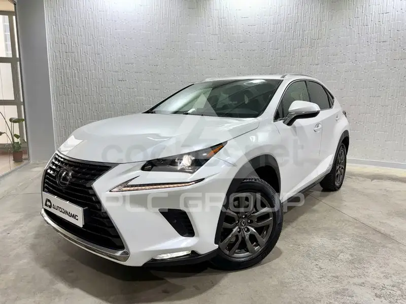 2020 Lexus NX