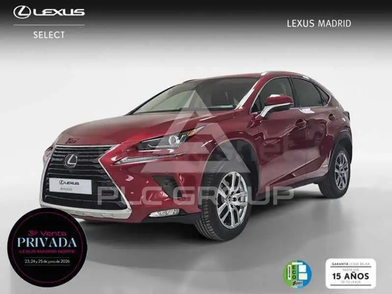 2020 Lexus NX