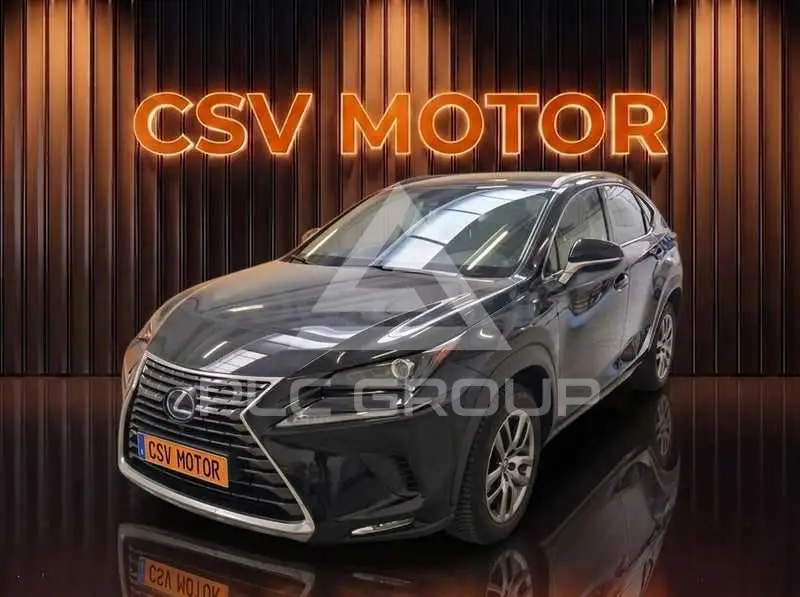 2020 Lexus NX