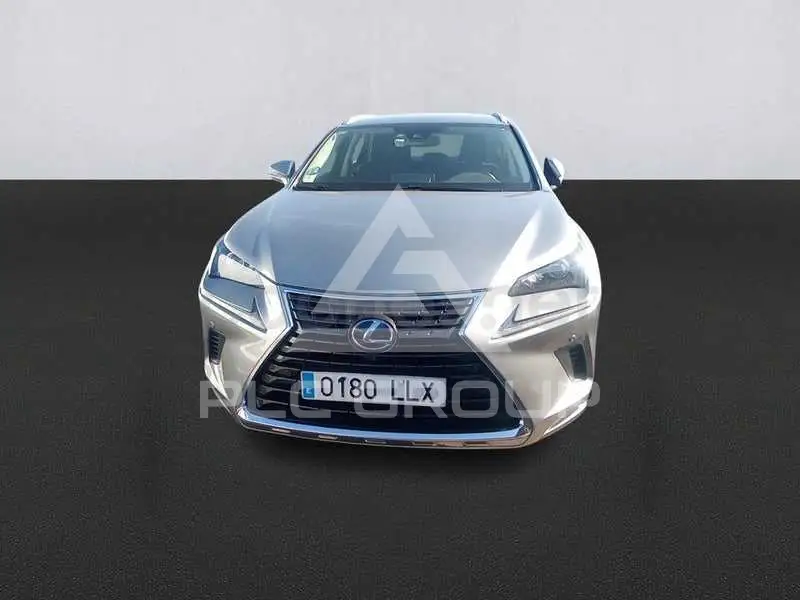 2020 Lexus NX