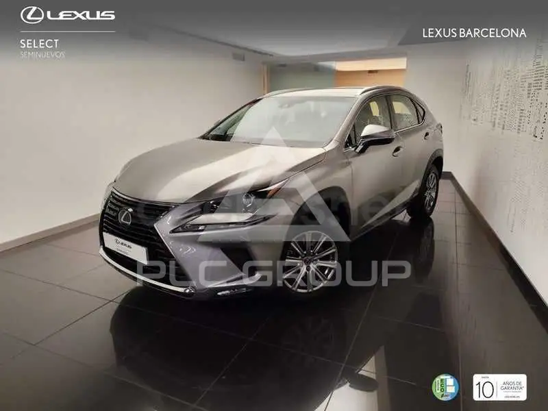 2020 Lexus NX