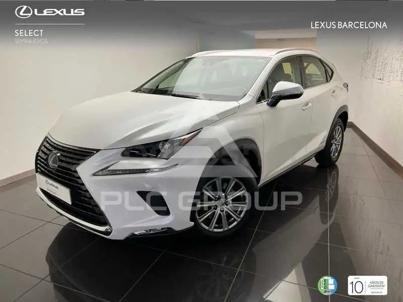 2020 Lexus NX