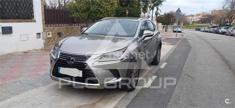 2020 Lexus NX