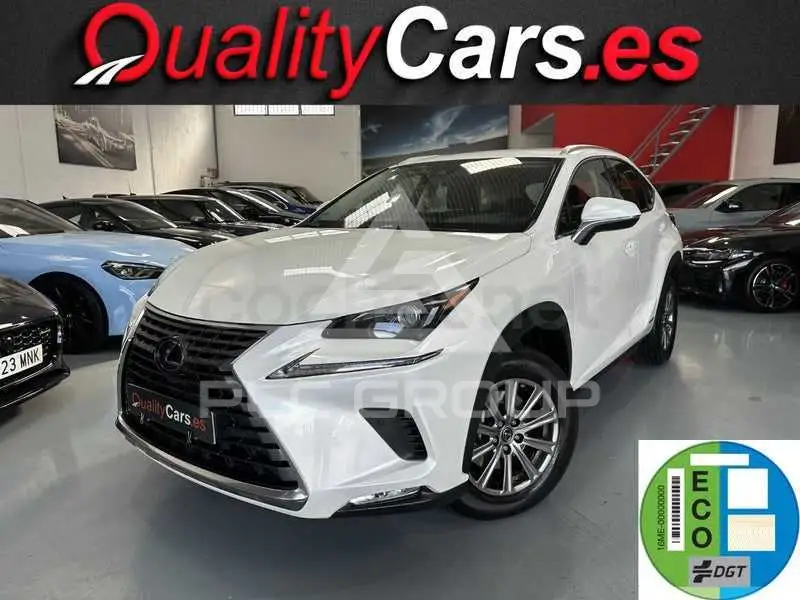 2020 Lexus NX