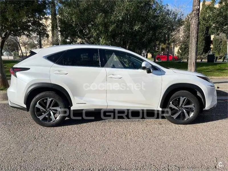 2020 Lexus NX