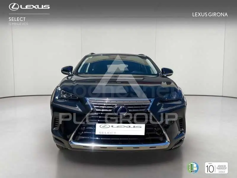 2020 Lexus NX