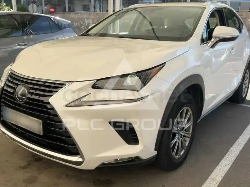 2020 Lexus NX