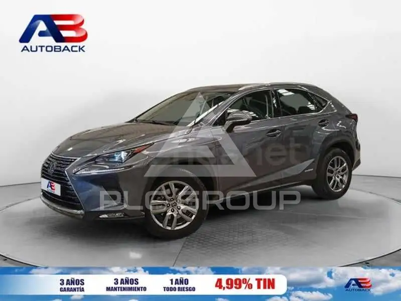 2020 Lexus NX