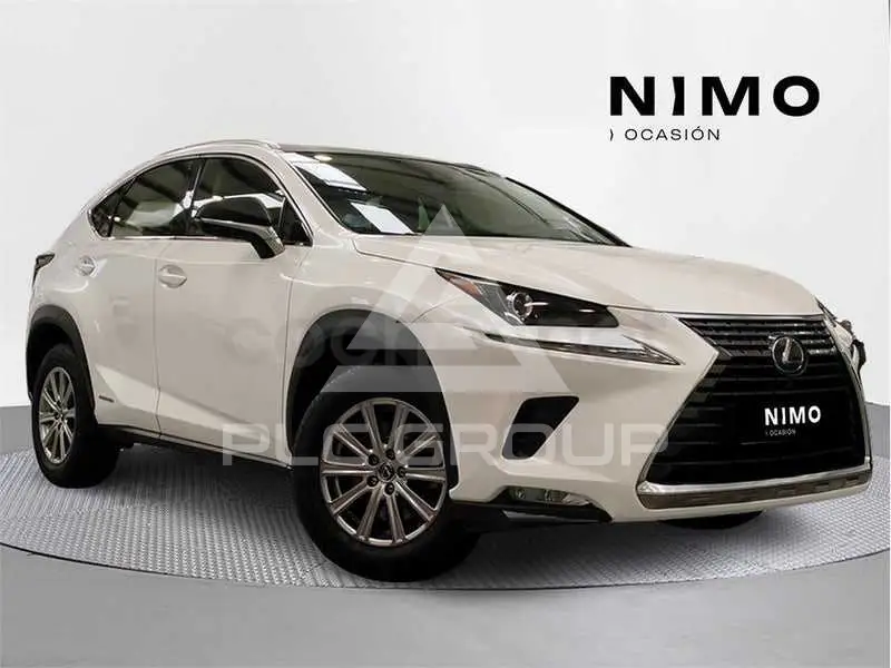 2020 Lexus NX