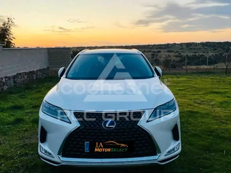 2020 Lexus RX