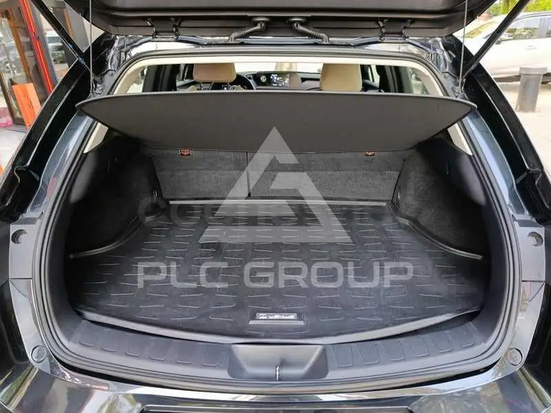 2020 Lexus UX
