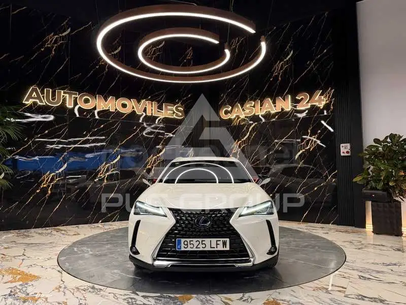 2020 Lexus UX