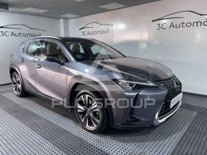 2020 Lexus UX
