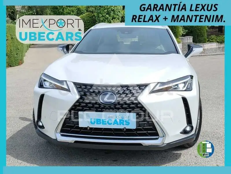 2020 Lexus UX
