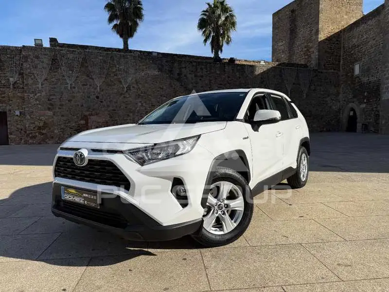 2020 Toyota RAV4