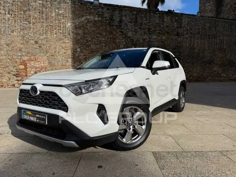 2020 Toyota RAV4
