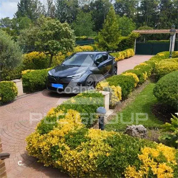 2020 Toyota CHR