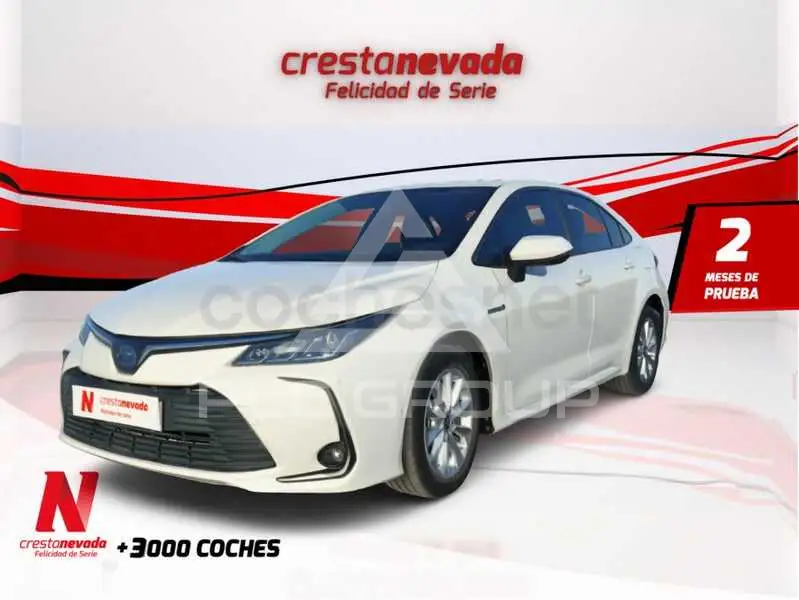 2020 Toyota COROLLA