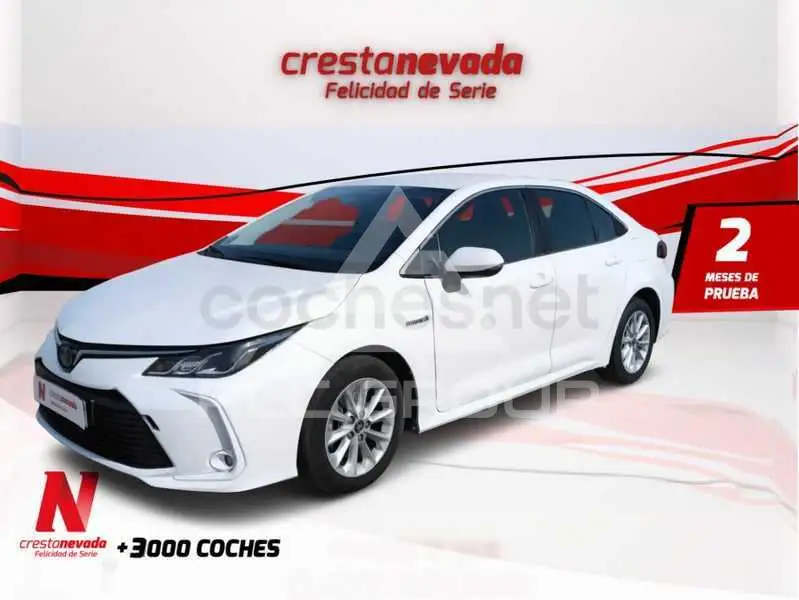 2020 Toyota COROLLA
