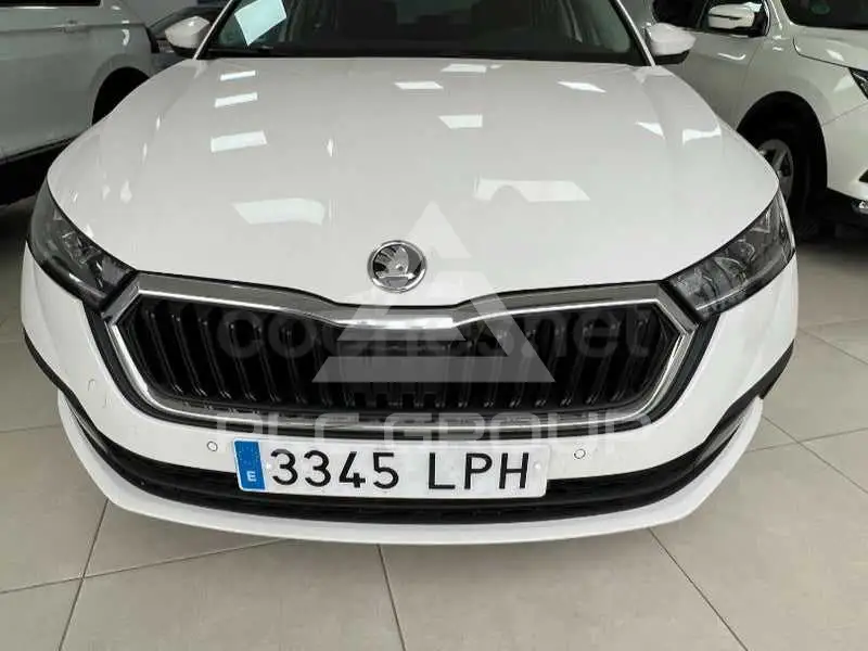 2021 Skoda Octavia