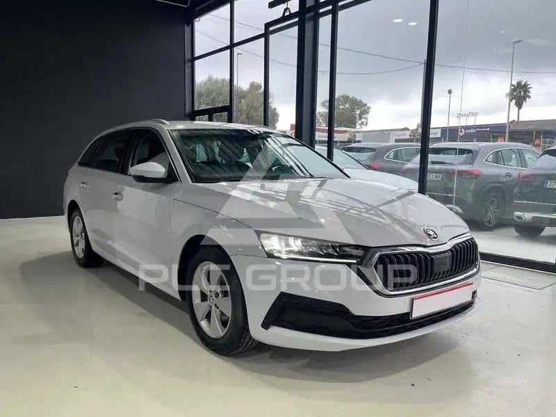 2021 Skoda Octavia