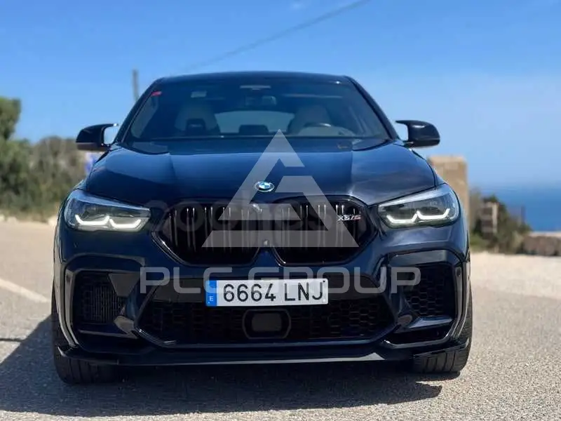 2021 BMW X6