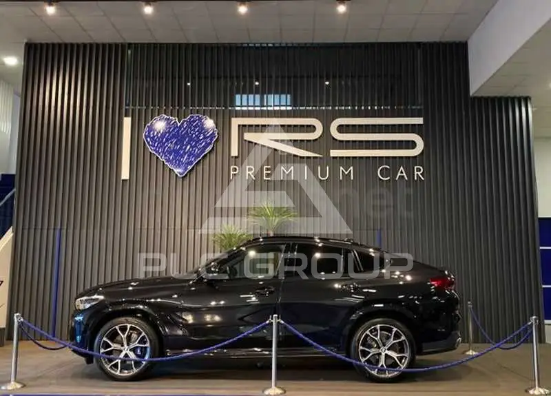 2021 BMW X6