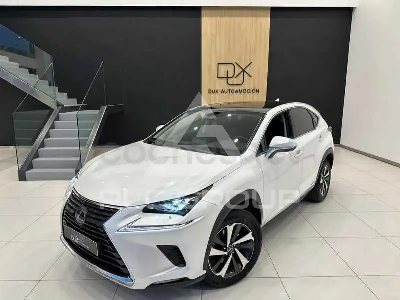 2021 Lexus NX