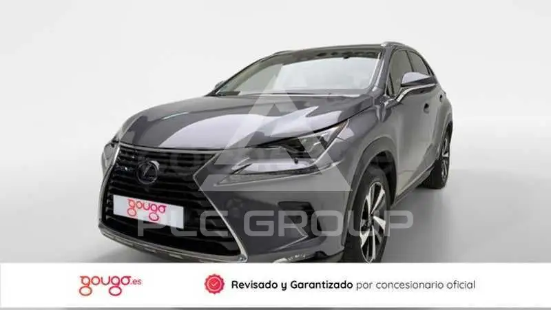 2021 Lexus NX