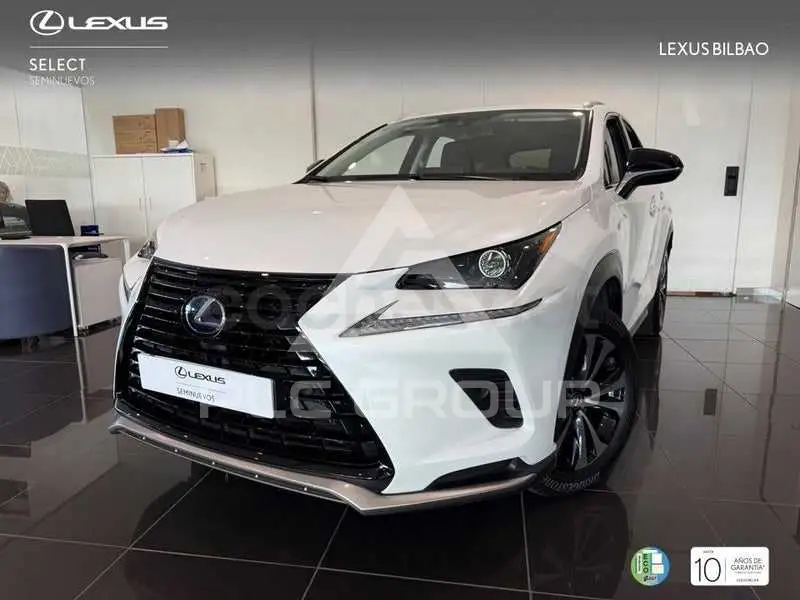 2021 Lexus NX
