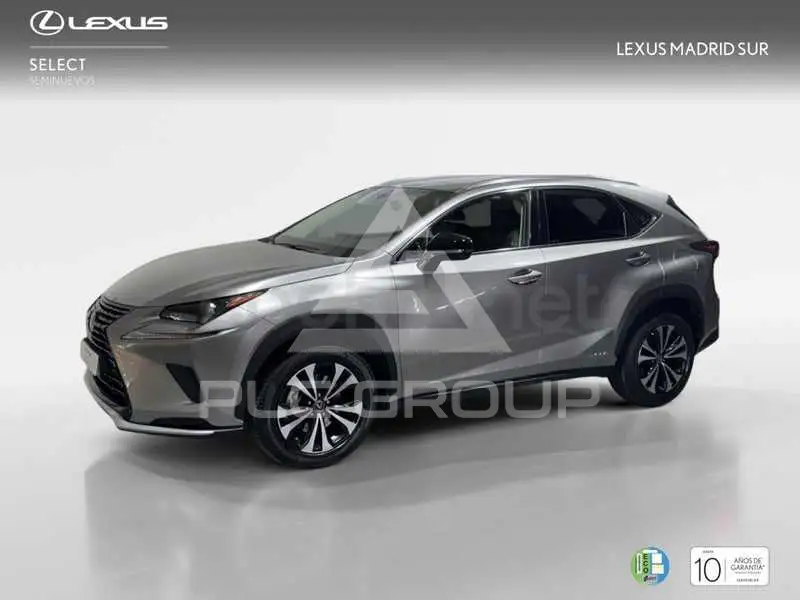 2021 Lexus NX