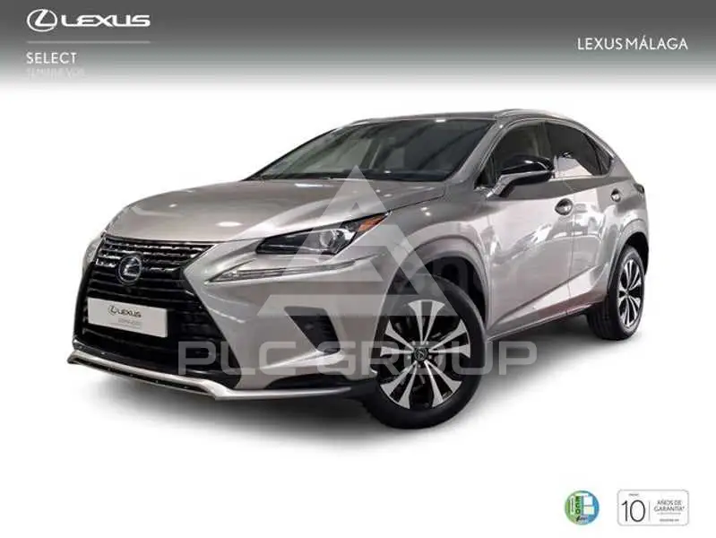 2021 Lexus NX
