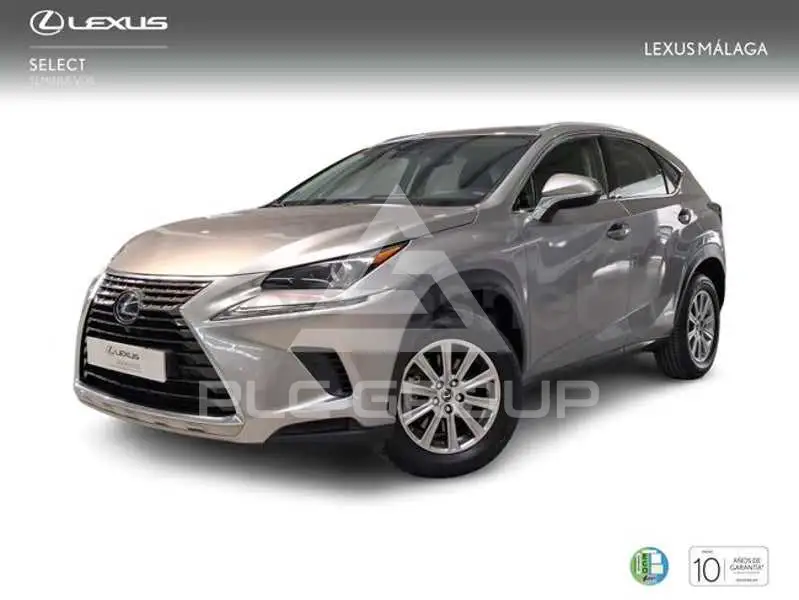 2021 Lexus NX
