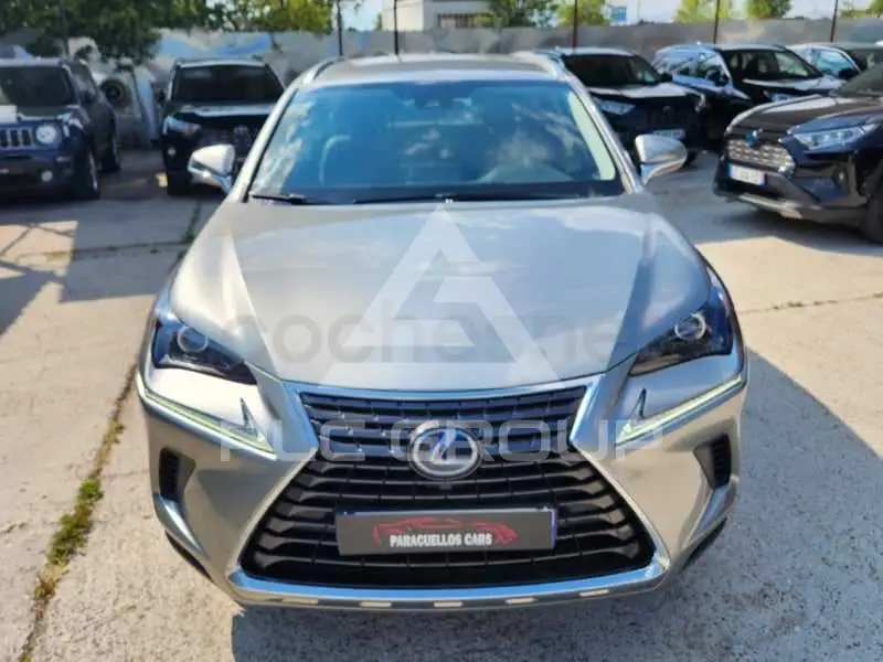 2021 Lexus NX