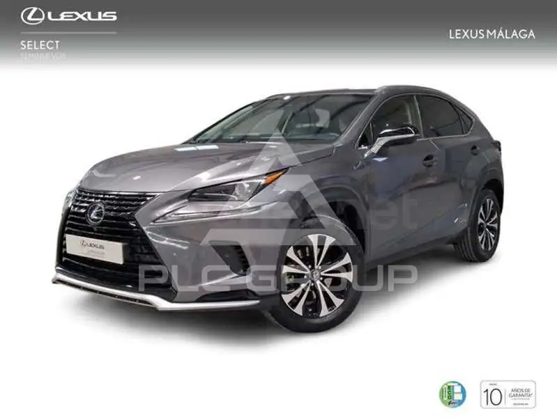 2021 Lexus NX