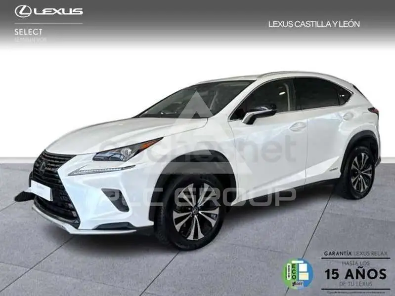 2021 Lexus NX