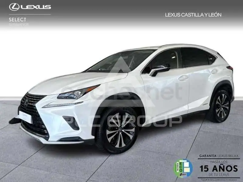 2021 Lexus NX