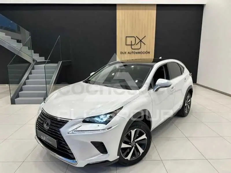 2021 Lexus NX
