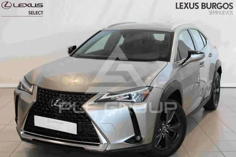 2021 Lexus UX