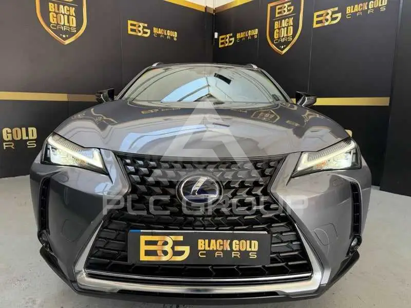 2021 Lexus UX