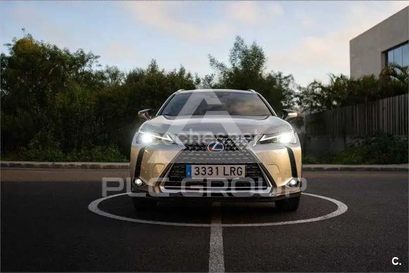 2021 Lexus UX