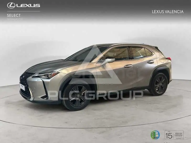 2021 Lexus UX