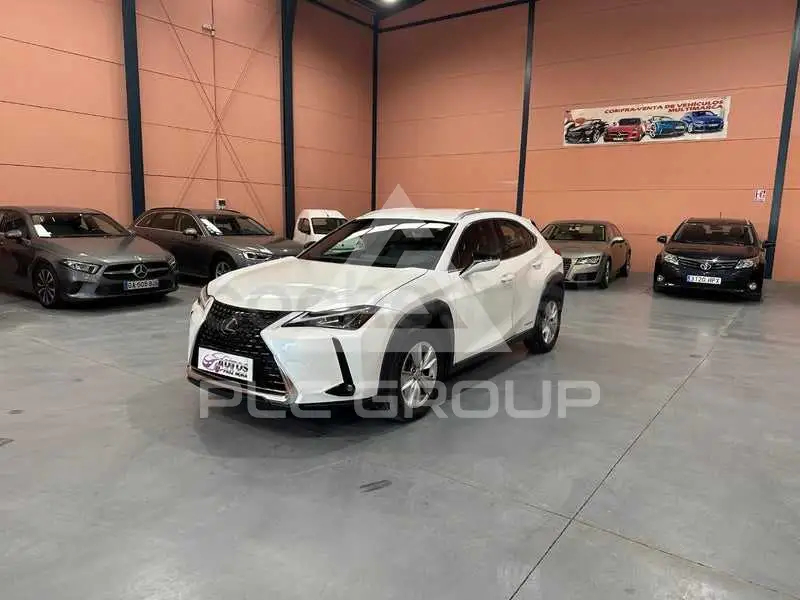 2021 Lexus UX