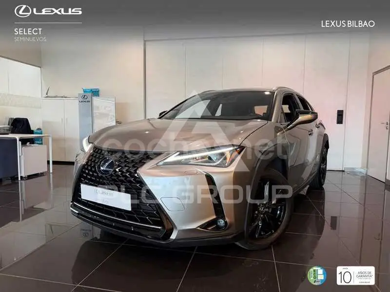 2021 Lexus UX