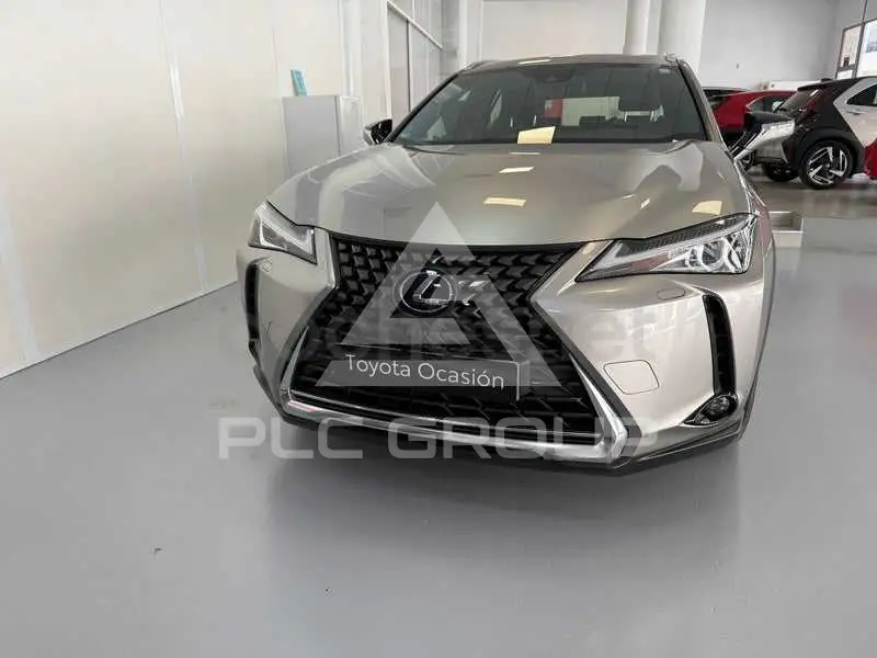 2021 Lexus UX