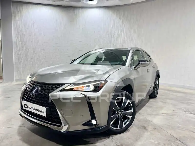 2021 Lexus UX