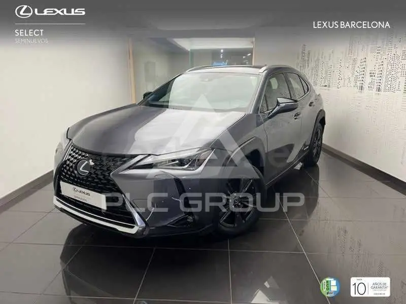 2021 Lexus UX